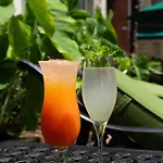 Hotel Bourbon Orleans New Orleans