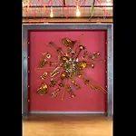 Cambria Hotel New Orleans Downtown Warehouse District