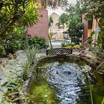 Lamothe House Hotel A French Quarter Guest Houses Property