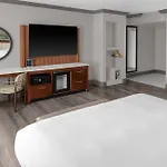 Doubletree By Hilton New Orleans