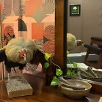 The Railyard Nola - Adult Only, Clothing Optional Pool