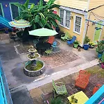 Creole Gardens And New Orleans