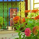 Inn Creole Gardens And