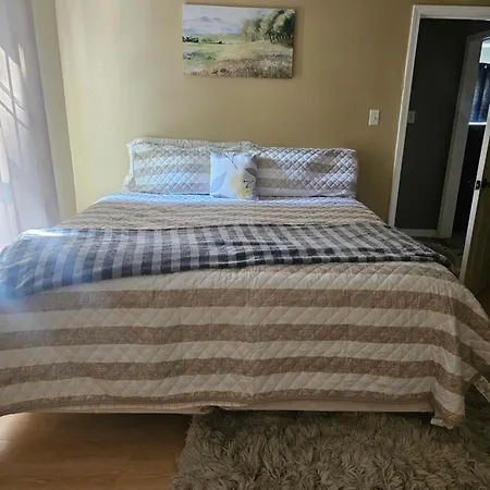 The Cozy Spot In The Heart Of The City. Apartment New Orleans