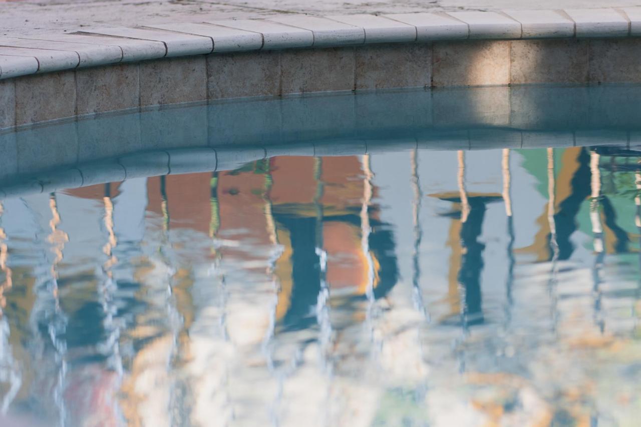 Bed & Breakfast Chez Palmiers