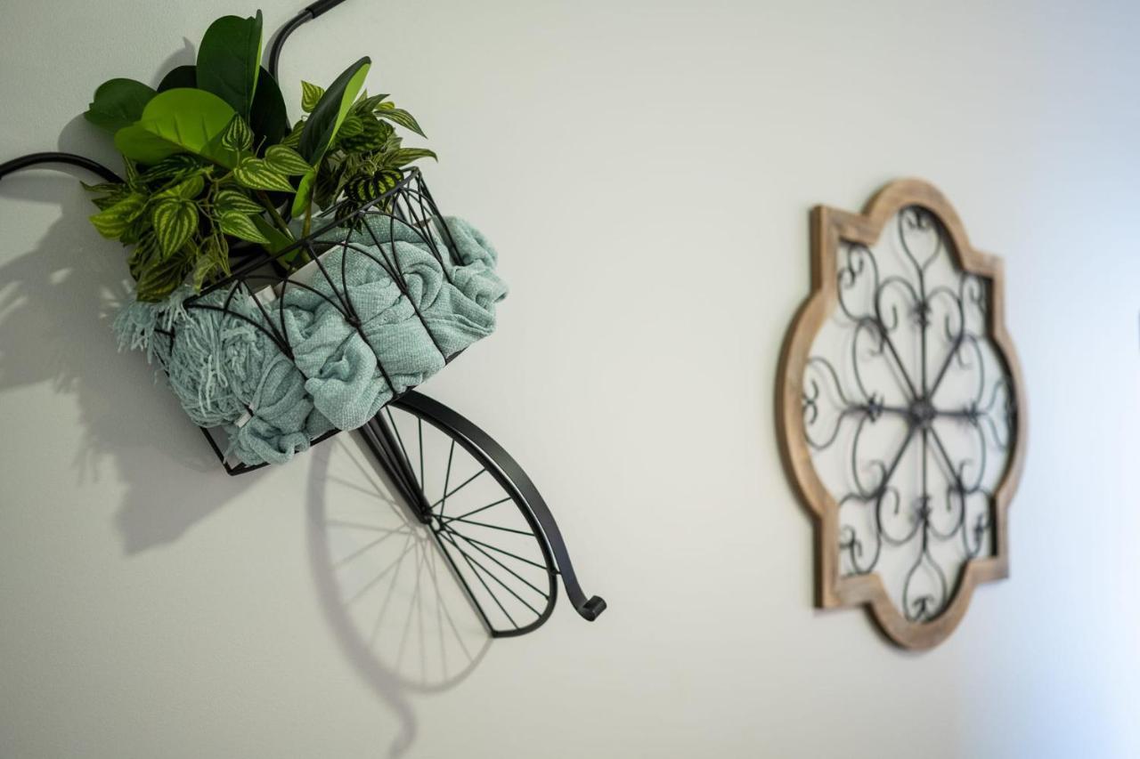 French Quarter Q New Orleans