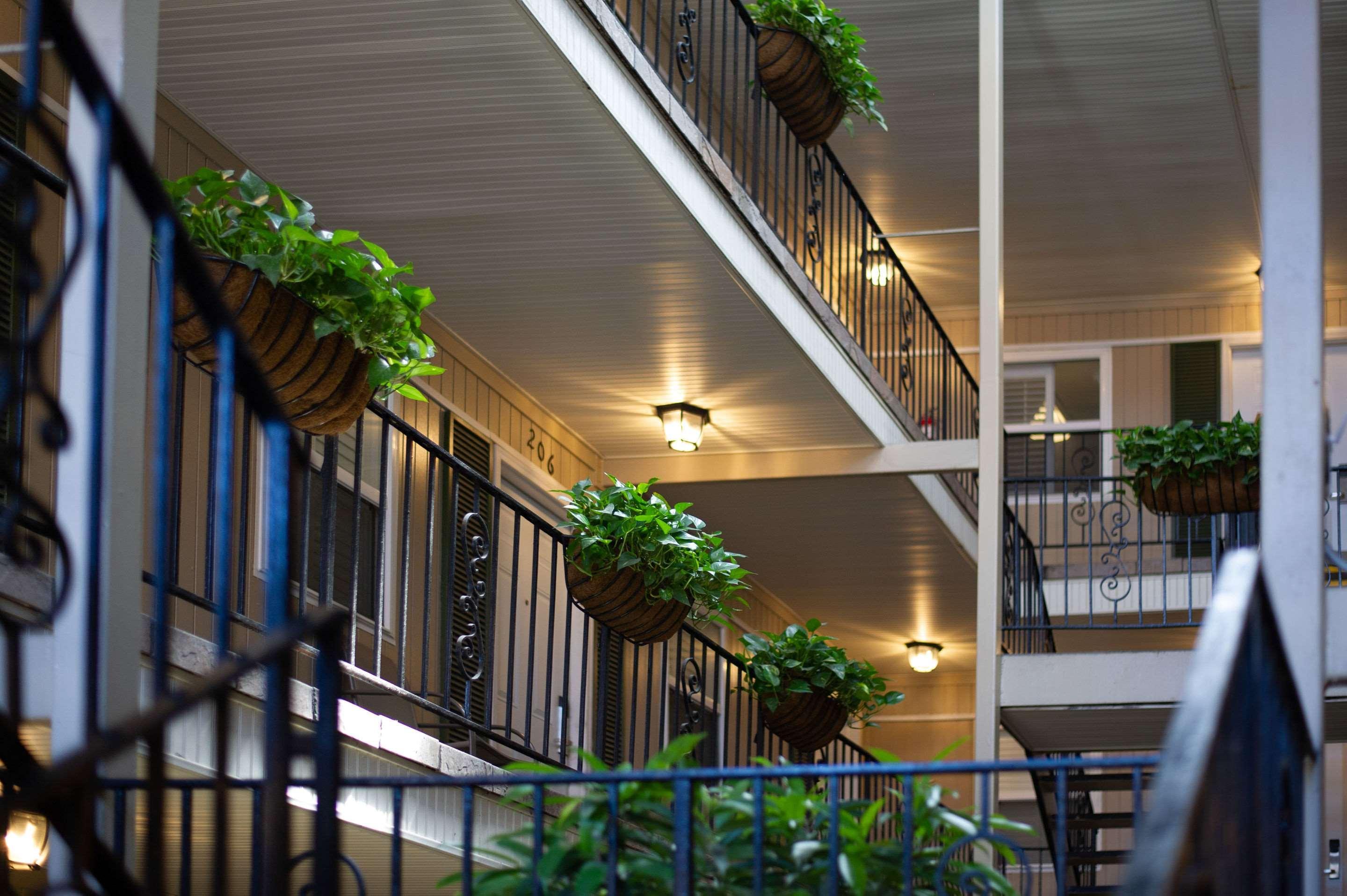 Hotel Frenchmen Orleans At 519, Ascend Collection