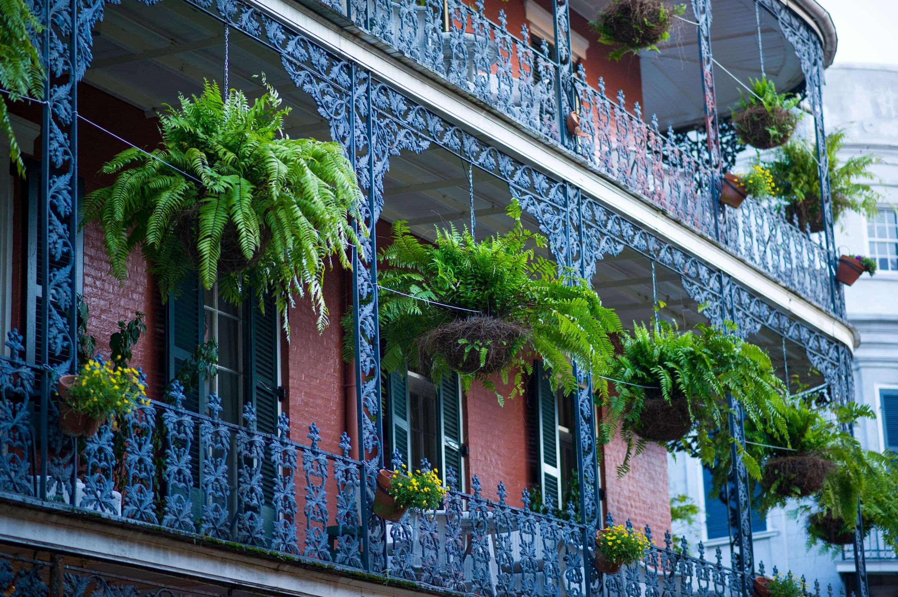 Hotel Frenchmen Orleans At 519, Ascend Collection New Orleans