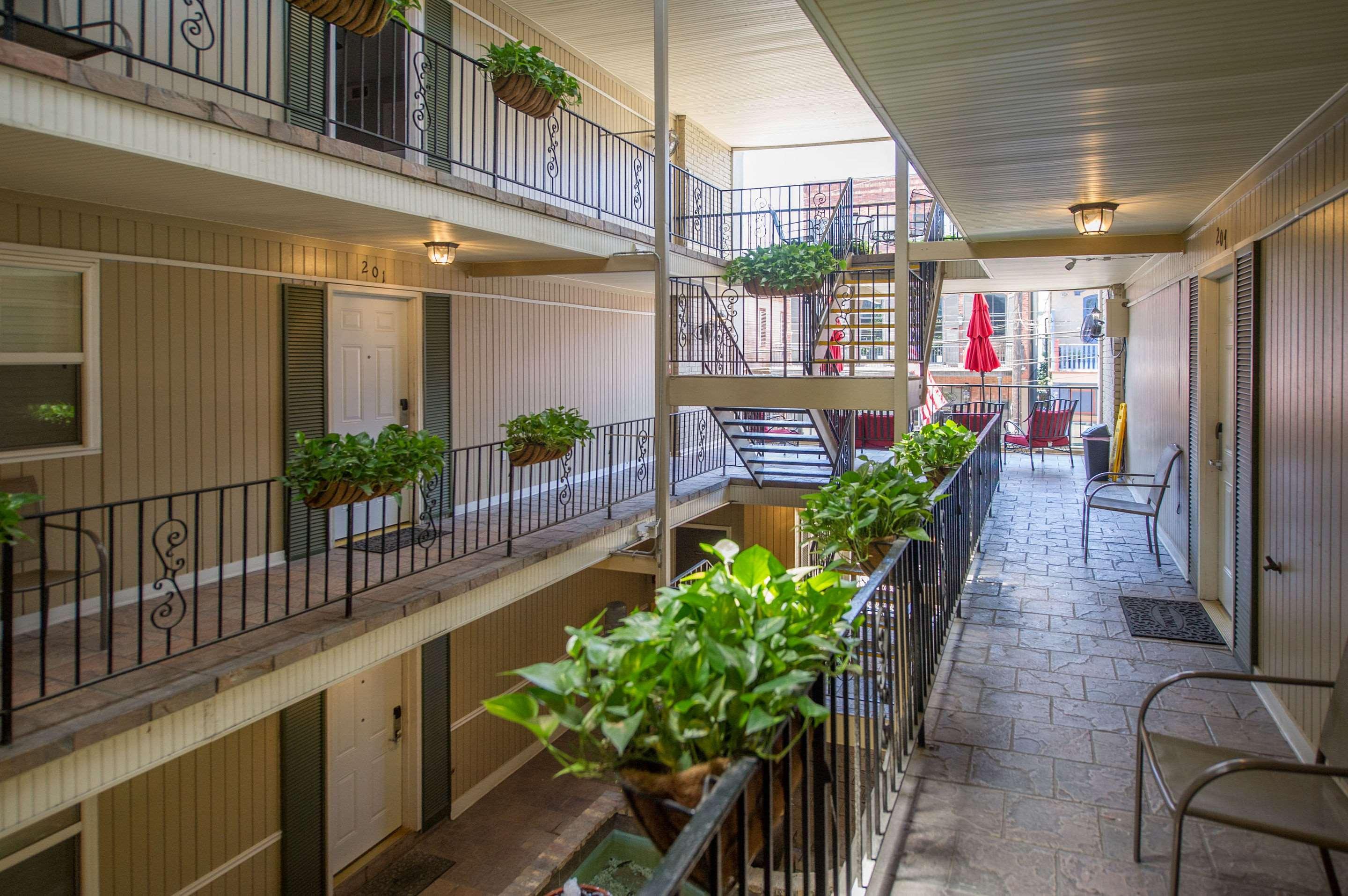 Frenchmen Orleans At 519, Ascend Collection