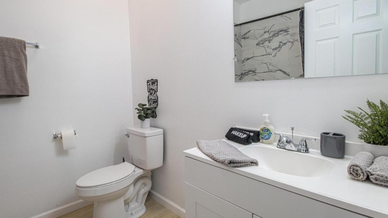 Apartment Vibrant Blue Luxury 2316 New Orleans