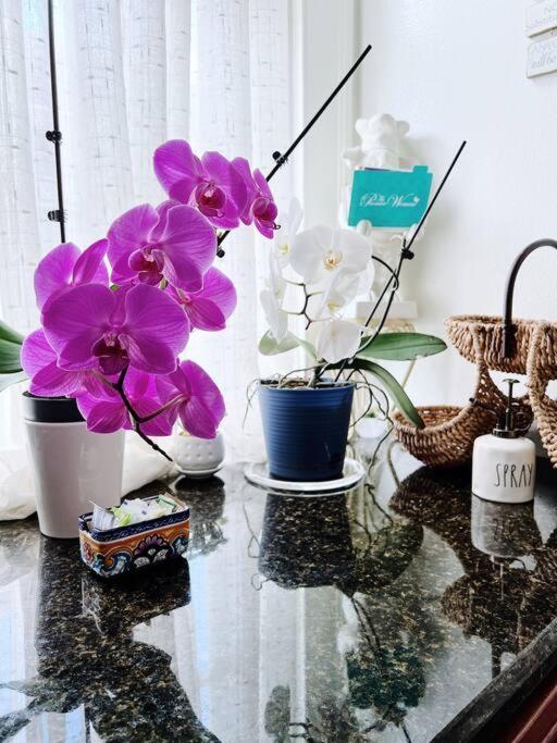 Lovely 4 Bedroom Uptown Magazine St * New Orleans