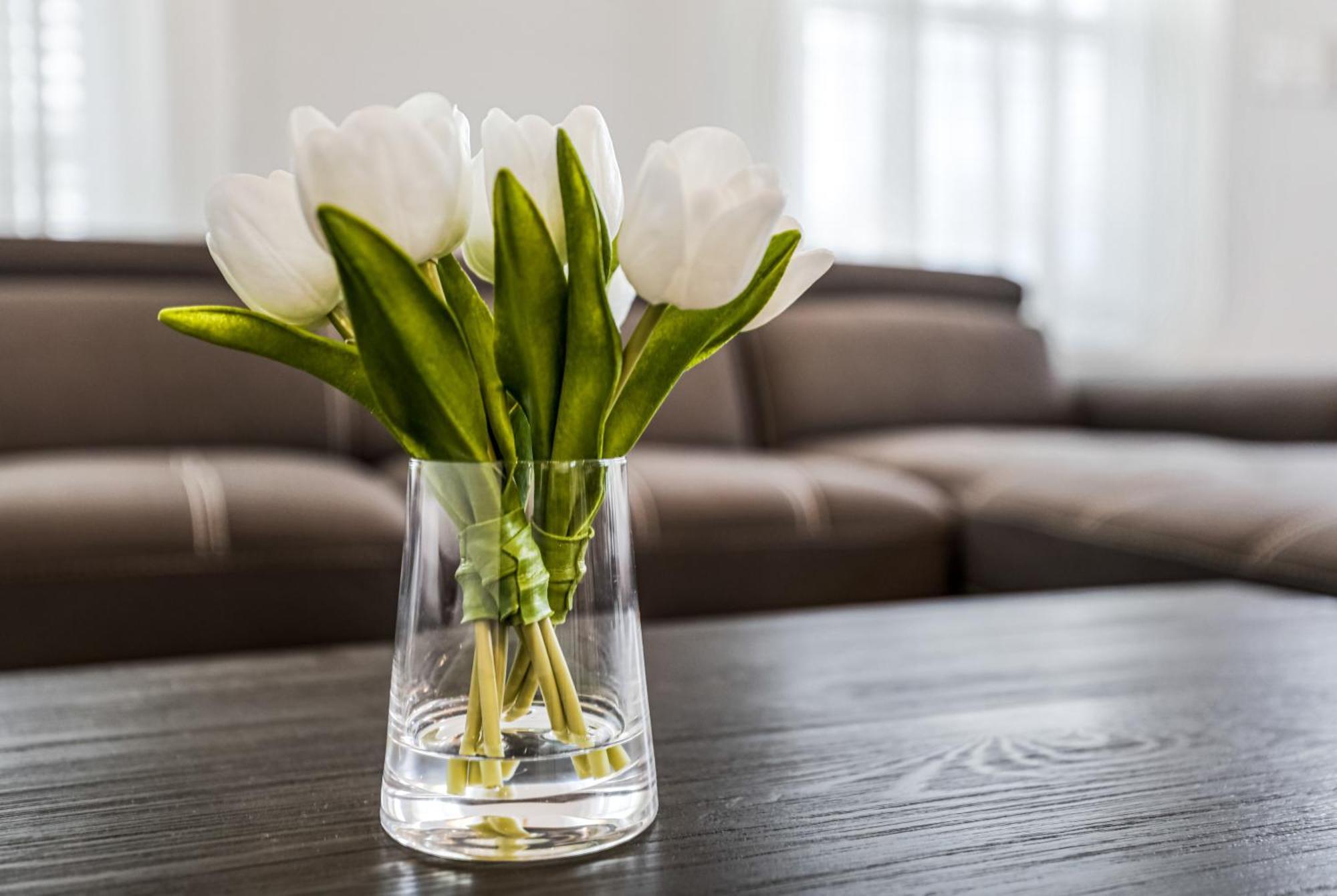 New 4 Bed Luxury House W/private Heated Pool New Orleans