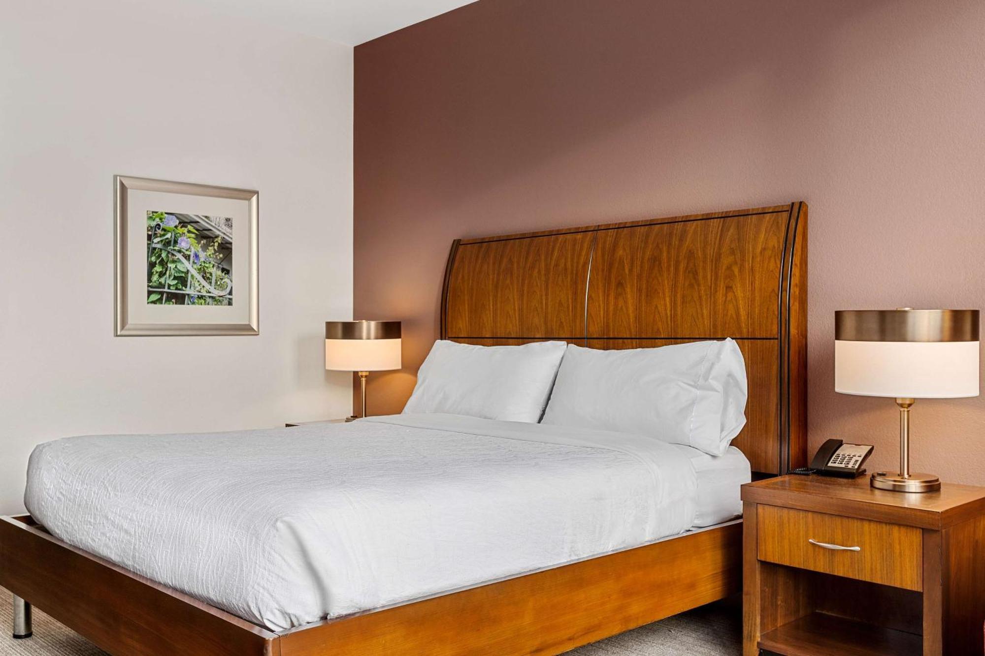 Hilton Garden French Quarter/cbd Hotel