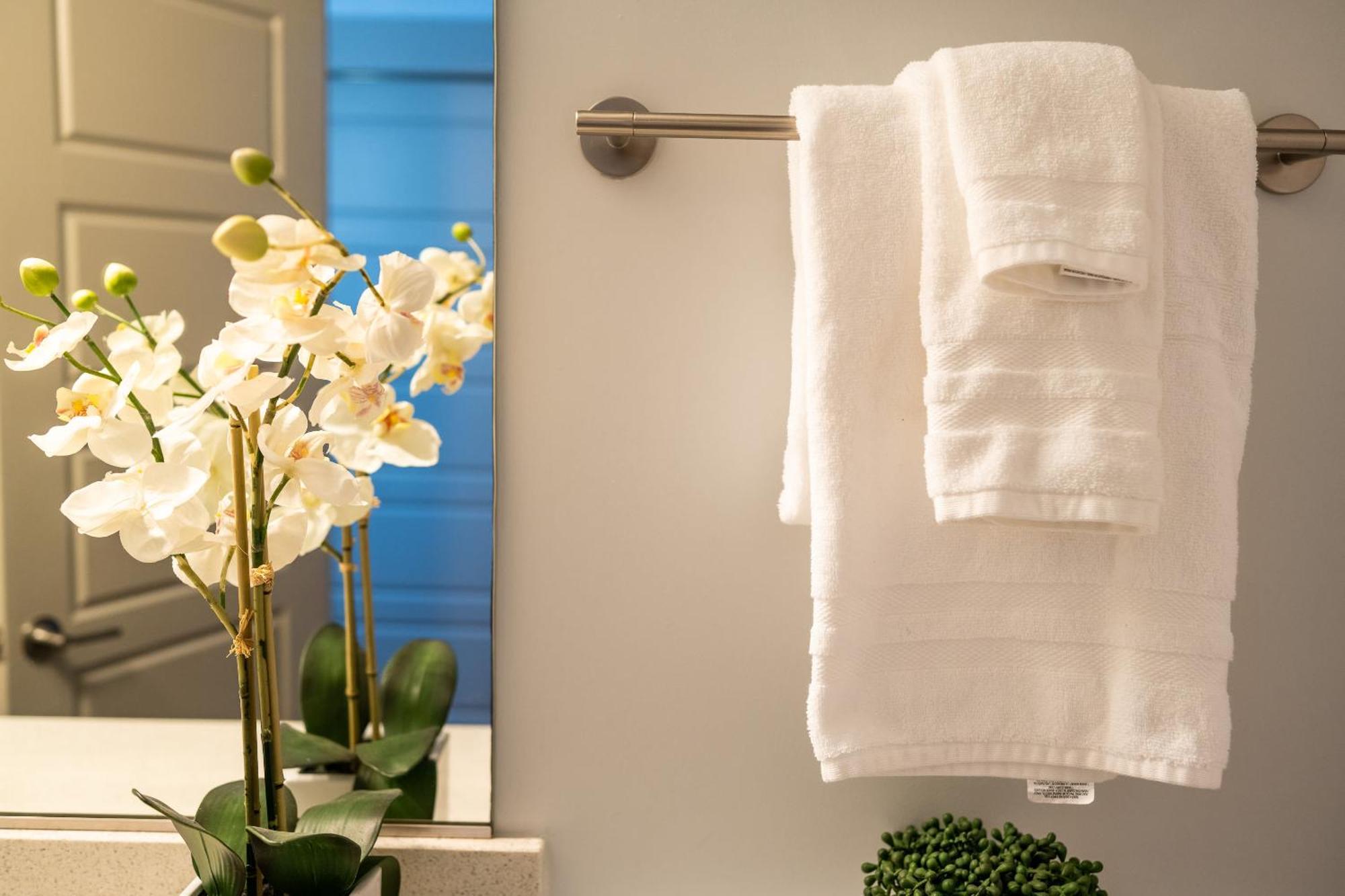 French Quarter Delight 9 Apartment New Orleans