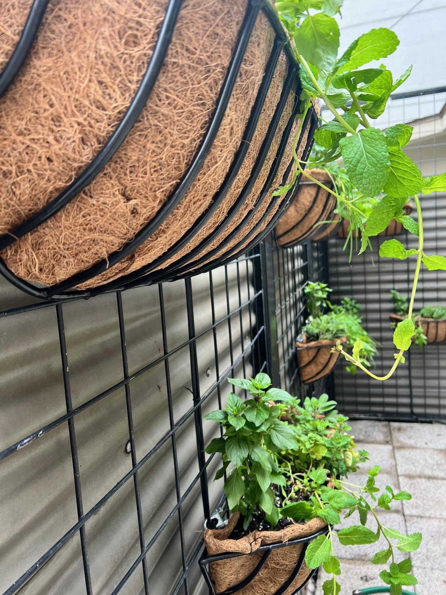 Entire W/ Party Rooftop - A Block Away From Parades Apartment *