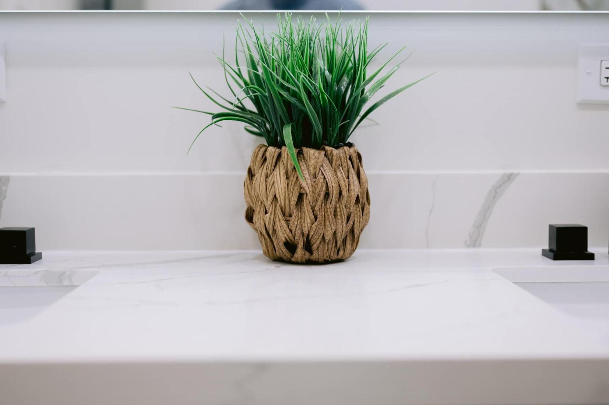 Magic Canal Apartment