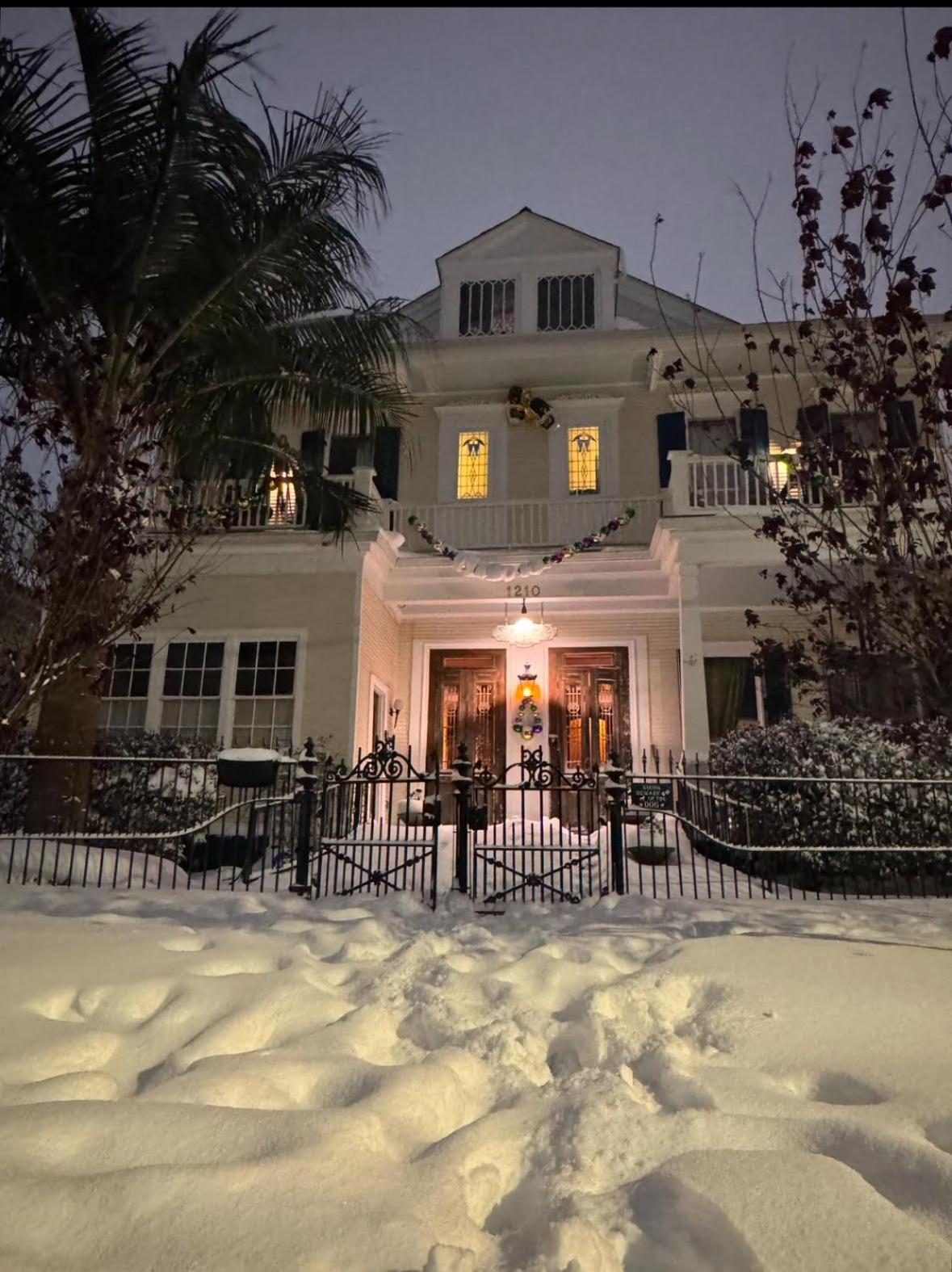 The Dragonfly Treme Guest house