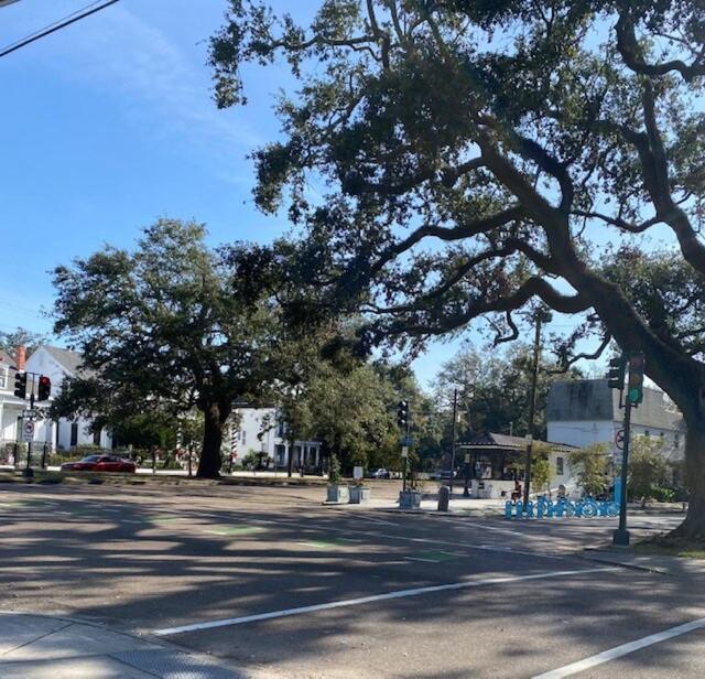 Walk To Jazz Fest From Garden