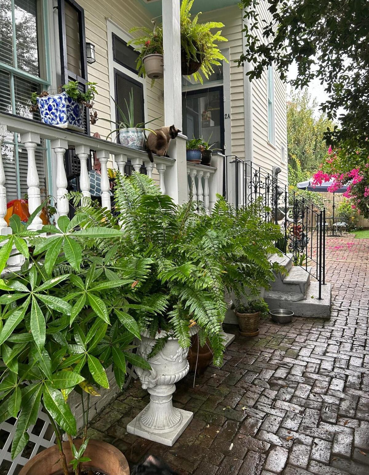 Walk To Jazz Fest From Garden * New Orleans