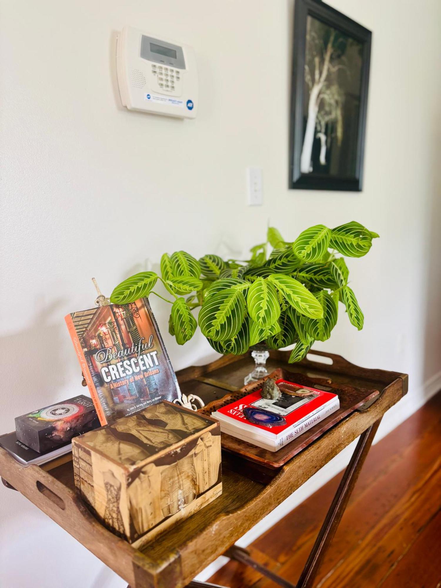 Apartment Charming Creole Near French Quarter
