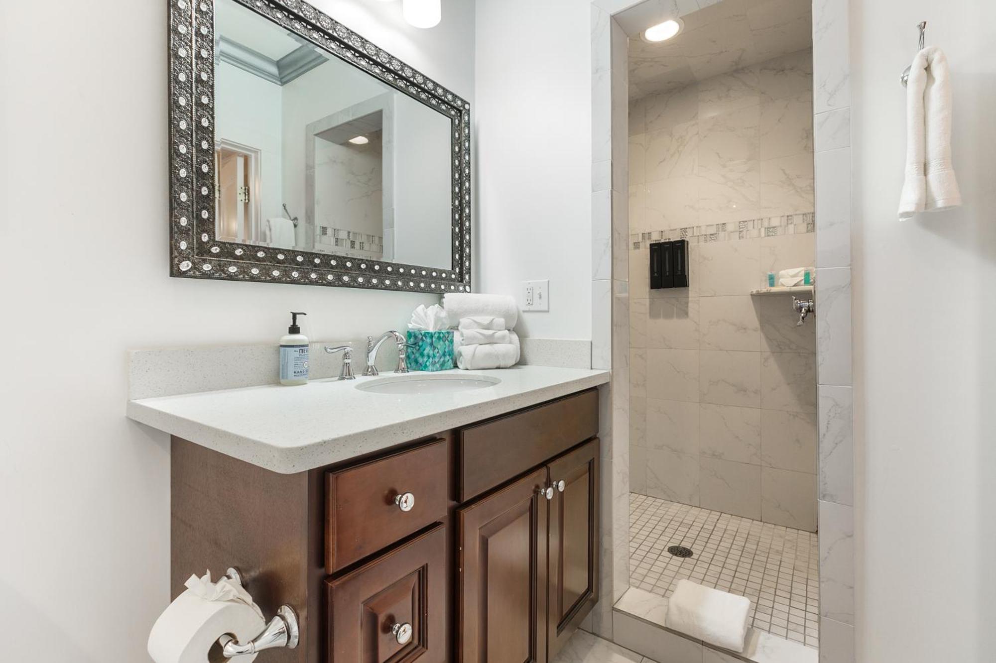 Louis Park New Orleans