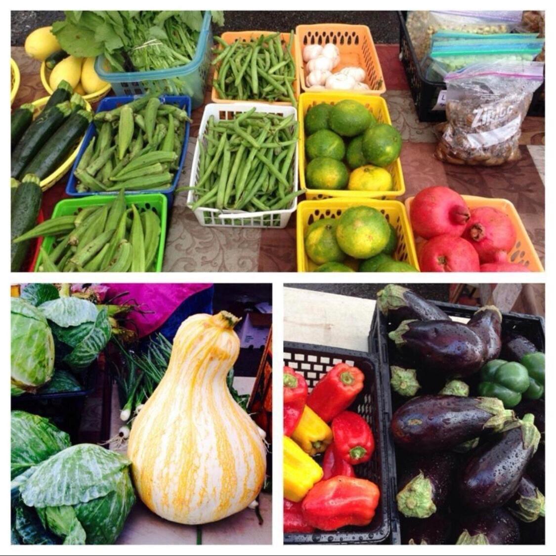 Apartment Beautiful 1bed 1bath House 4blocks French Q, Near Bourbon St And Steps To Jazz Venues