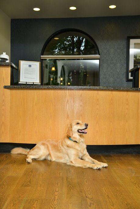 St Charles Inn, Superior Hotel