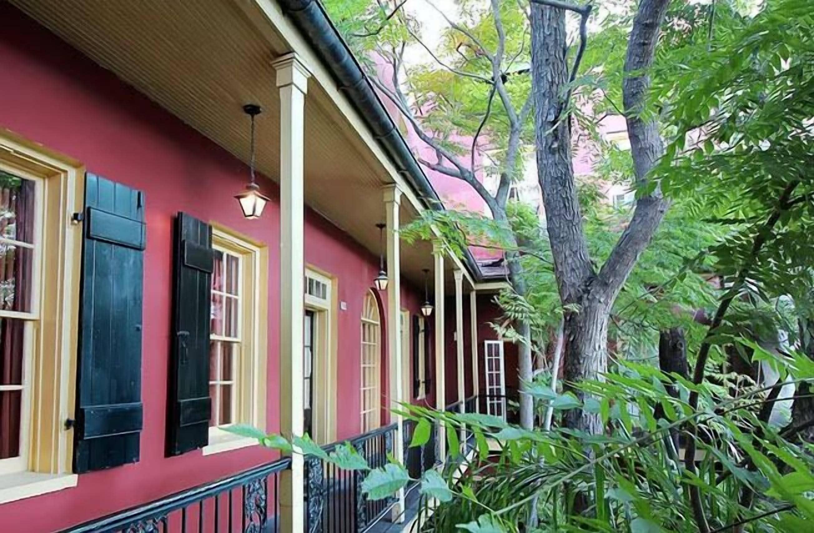 Hotel The Olivier House