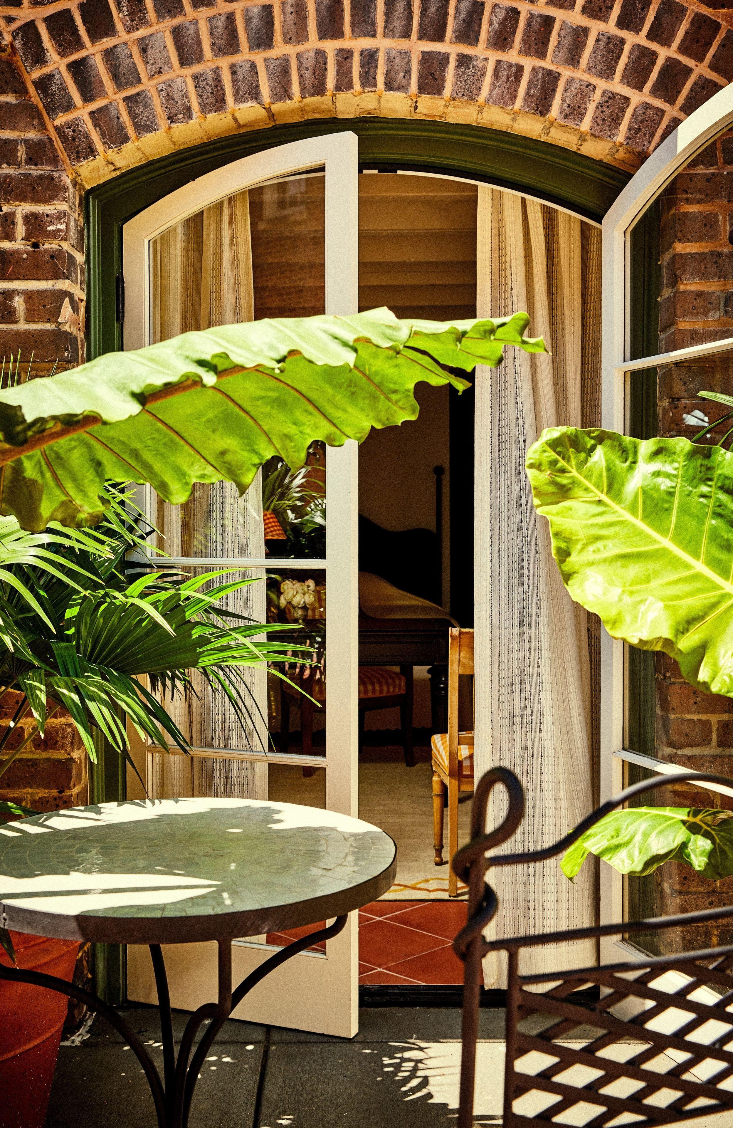 Peter And Paul, An Ash