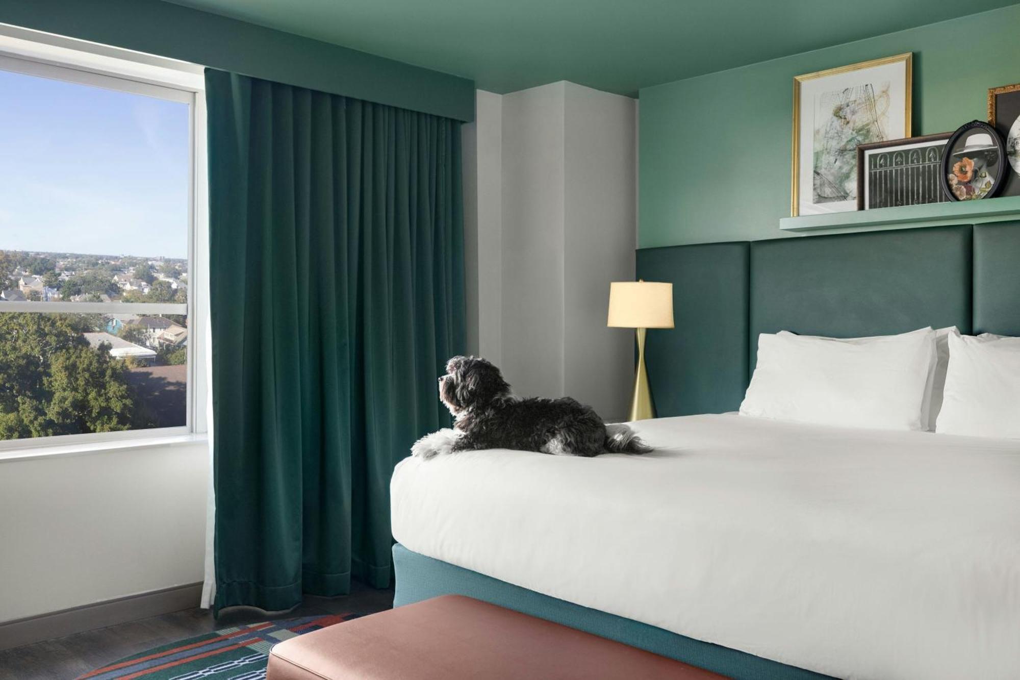 Tonnelle New Orleans, A Tribute Portfolio