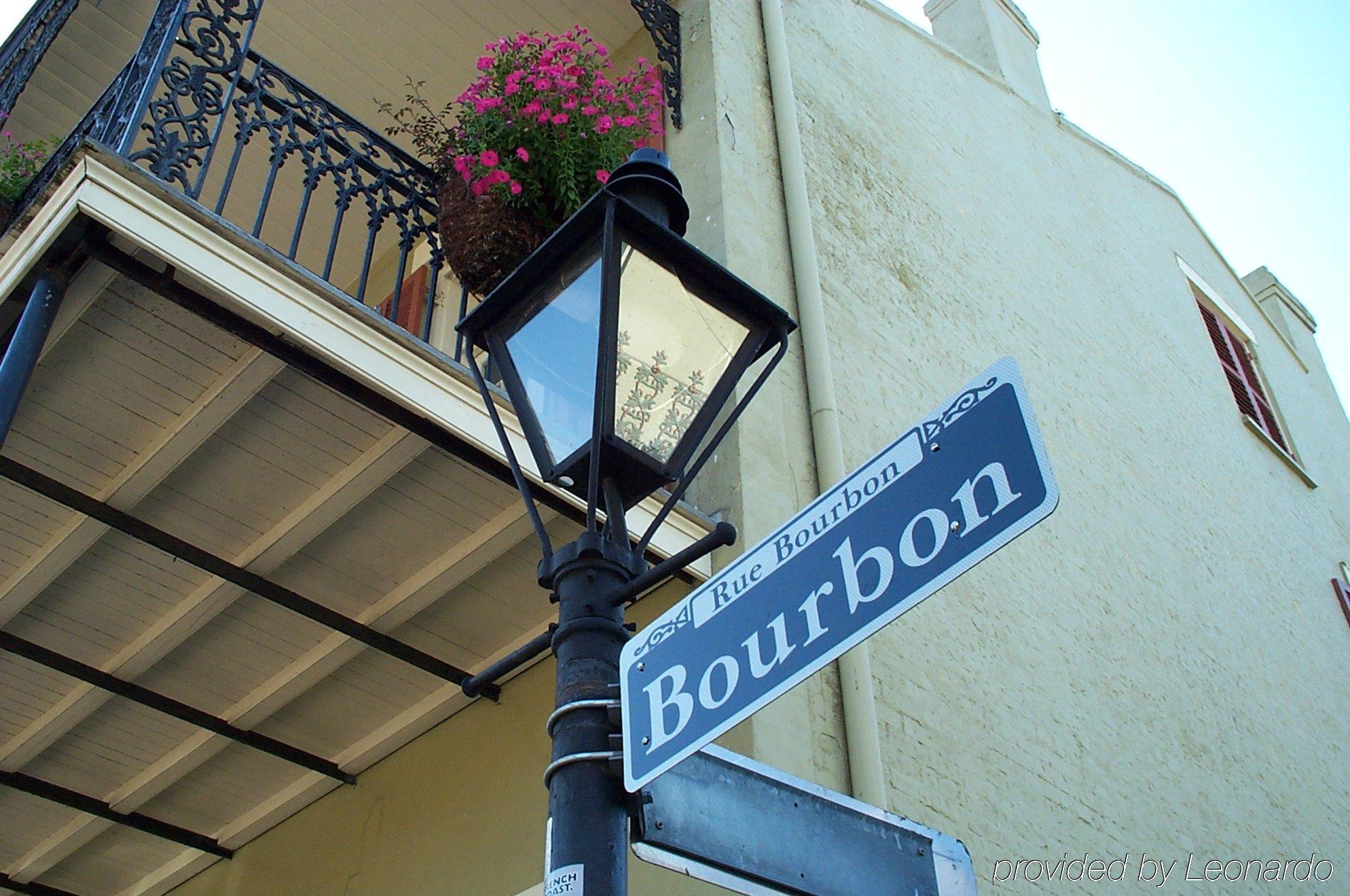 On St. Ann, A French Quarter 3*