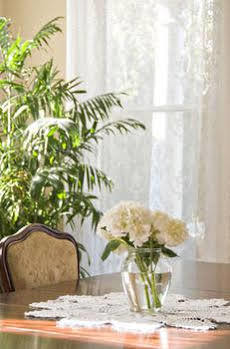 Southern Comfort 3* New Orleans